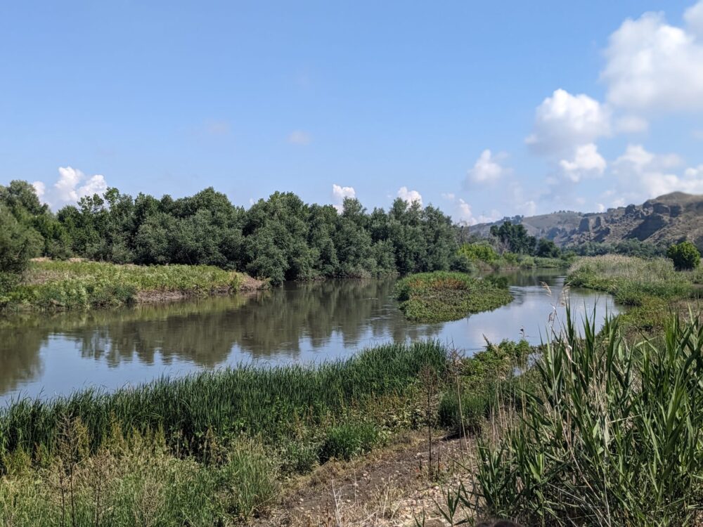 titulcia
