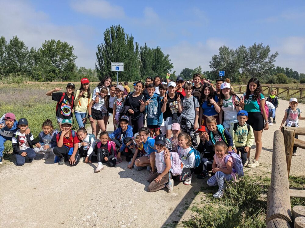 titulcia grupo